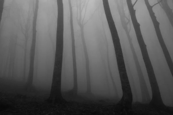 Best Recent Horror Movies