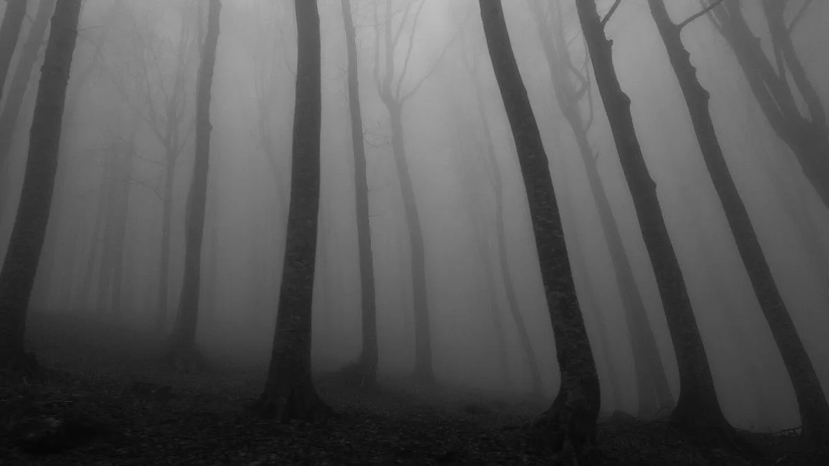 Best Recent Horror Movies
